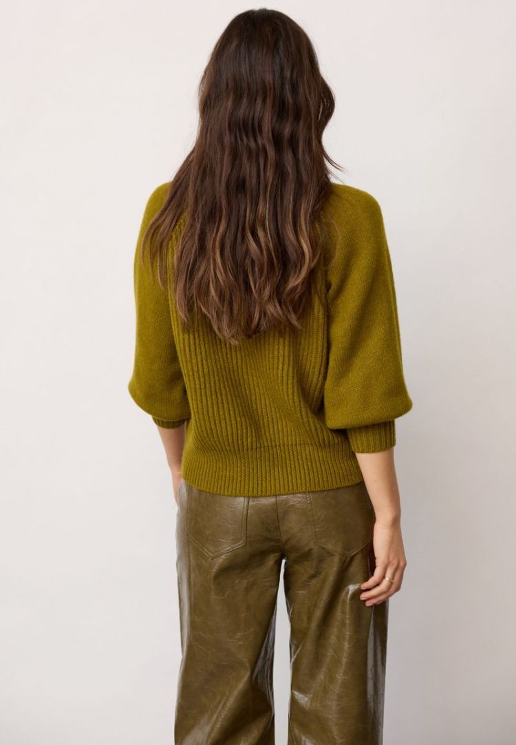  Fern Green